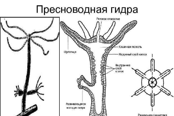 Кракен оф